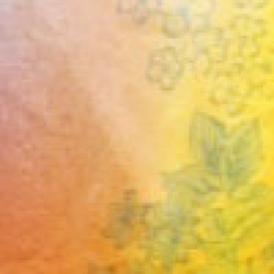 Shandrie banner