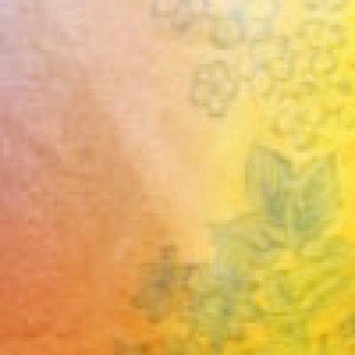 Shandrie banner